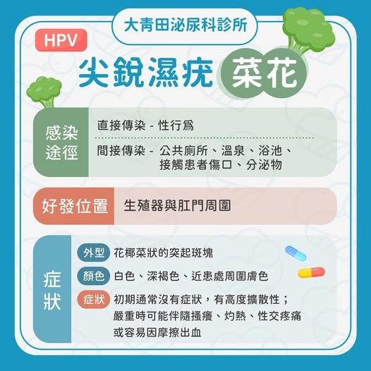 尖銳濕疣~菜花